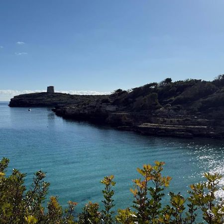 La Calma Espectacular Villa Con Jardin Y Piscina En Menorca サルガール エクステリア 写真